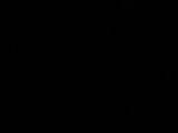 02 : 22