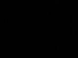 04 : 34