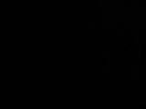 20 : 10