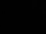 Záznam