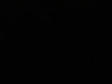 03 : 16