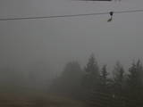 19 : 52