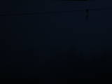 21 : 28