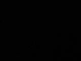 02 : 12