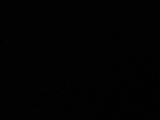 03 : 20