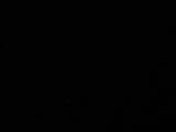 03 : 36