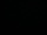 04 : 44