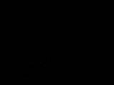 20 : 32