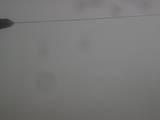 10 : 20