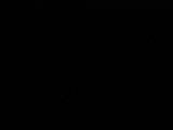 20 : 20
