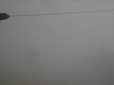 16 : 36