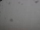 08 : 16
