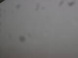 08 : 24