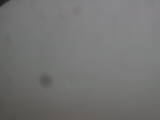 08 : 36