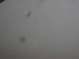 10 : 20