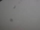 10 : 24