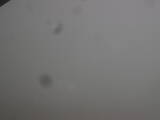 10 : 40