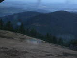 20 : 40