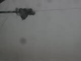 17 : 36