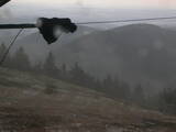 19 : 12