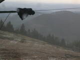 19 : 20