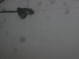 20 : 16