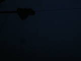 20 : 52