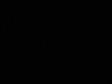 04 : 36