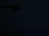 04 : 48