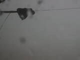 06 : 28