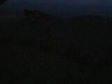 21 : 56