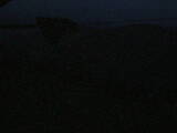 04 : 04