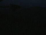 04 : 04