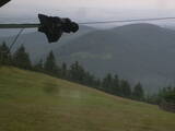 15 : 00