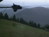 20 : 52