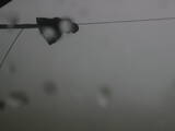 11 : 20