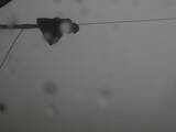 11 : 36