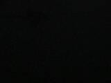 03 : 36
