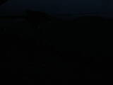 04 : 04
