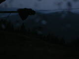 20 : 20