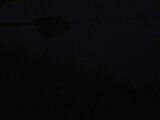 05 : 04