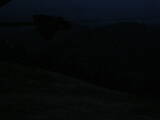 19 : 48