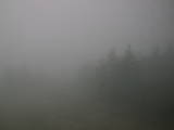 08 : 42