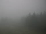 08 : 50