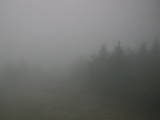 08 : 54