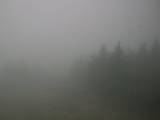 09 : 06