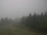 16 : 28