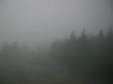 20 : 46