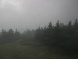 09 : 50