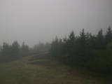 08 : 00